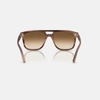 Kính Ray-Ban Chính hãng - Sunglasses in Havana Brown | RB2213 142351 55mm | JapanSport