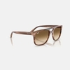 Kính Ray-Ban Chính hãng - Sunglasses in Havana Brown | RB2213 142351 55mm | JapanSport