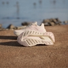Giày Adidas Chính Hãng - Adistar CS 2 Repetitor+ - Màu Hồng | JapanSport ID0373