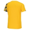 Áo Phông Mizuno Chính Hãng - Mizuno N-XT short-sleeved T-shirt - Màu Vàng | JapanSport 32JAB210-47