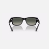 Kính RayBan Chính hãng - RB4388 - Sunglasses in Black and Grey - 55mm | JapanSport