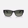 Kính RayBan Chính hãng - RB4388 - Sunglasses in Black and Grey - 55mm | JapanSport