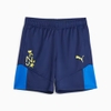 Quần Puma Nam Chính Hãng - Neymar Jr Men's Football Shorts - Xanh | JapanSport 658508-01