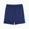 Quần Puma Nam Chính Hãng - Neymar Jr Men's Football Shorts - Xanh | JapanSport 658508-01