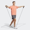 Quần Short Adidas Chính Hãng - Icons 3-Stripes Training - Màu Xám | JapanSport IB7333