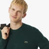 Áo Lacoste Chính hãng - Carded Wool Crew Neck Sweater - Màu Xanh | JapanSport  AH2916-51-YZP