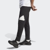 Quần Adidas Nam Chính Hãng - FUTURE ICONS BADGE OF SPORT JOGGERS - Đen | JapanSport IC3759