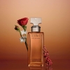 Nước hoa Calvin Klein Chính hãng - Eternity EDPI Women 50ml | JapanSport