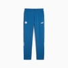 Quần Puma Chính Hãng - Manchester City FtblArchive Track Pants - Màu Xanh | JapanSport 774392-11