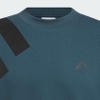 Áo Khoác Adidas Chính Hãng - Anthony Edwards 1 Foundation Crew Neck Sweatshirt - Màu Xanh | JapanSport IM8231