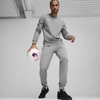 Quần Puma Chính Hãng - Puma TeamGOAL Casual - Màu Xám | JapanSport 659323-33