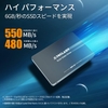 Ổ cứng TECLAST 256GBA810 Internal SSD, 6Gb/s / 256 GB – X0010BG9XZ | JapanSport