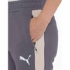 Quần Puma Chính Hãng - EVOSTRIPE Pants - Màu Xám | JapanSport 684112-69
