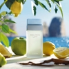 Nước hoa Dolce & Gabbana Chính hãng - Light Blue EDT 100ml | JapanSport