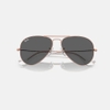 Kính Ray-Ban Chính hãng - Aviator  - 0RB3025 9202b1 58mm - Nam | JapanSport