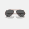 Kính Ray-Ban Chính hãng - Aviator Large Metal - RB3025 9202R5 55-14mm - Nam | JapanSport