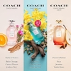 Nước hoa Coach Chính hãng - Coach Dreams Eau De Parfum Spray 40ml/1.3OZ | JapanSport