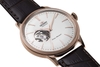 Đồng hồ chính hãng Orient Nam - Mechanical Classic Watch RA-AG0001S - dây da | JapanSport