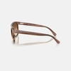 Kính Ray-Ban Chính hãng - Sunglasses in Havana Brown | RB2213 142351 55mm | JapanSport
