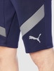 Quần Short Puma Nam Chính Hãng - Soccer Shorts - Màu Xanh | JapanSport 658116-06