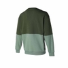 Áo Khoác Puma Nam Chính Hãng - PUMA POWER Color Block Crew Sweat - Màu Xanh | JapanSport 677683-31