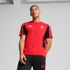 Áo Phông Puma Chính hãng - AC Milan ftblARCHIVE Tee Men - Màu Đỏ/Đen | JapanSport 779340-09
