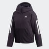 Áo Khoác Adidas Chính Hãng - Back-to-Sports 3-Stripes Hooded Insulated Jacket - Đen | JapanSport DZ1518