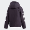 Áo Khoác Adidas Chính Hãng - Back-to-Sports 3-Stripes Hooded Insulated Jacket - Đen | JapanSport DZ1518