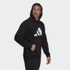 Áo Hoodie Adidas Chính Hãng - Hoodie Winterized Future Icons - Đen | JapanSport H17988