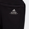 Quần Adidas Nam Chính Hãng - ADIDAS Z.N.E Pants - Đen | JapanSport GM6545