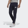 Quần Adidas Nam Chính Hãng - AEROREADY DESIGNED TO MOVE SPORT MOTION LOGO PANTS - Xanh | JapanSport GV5301