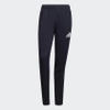 Quần Adidas Nam Chính Hãng - AEROREADY DESIGNED TO MOVE SPORT MOTION LOGO PANTS - Xanh | JapanSport GV5301