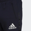 Quần Adidas Nam Chính Hãng - AEROREADY DESIGNED TO MOVE SPORT MOTION LOGO PANTS - Xanh | JapanSport GV5301