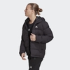 Áo Khoác lông vũ Adidas Nam Chính Hãng - HELIONIC HOODED DOWN - Đen | JapanSport HG8751