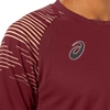 Áo Phông Asic Chính hãng - Dry Practice Short Sleeve - Màu Đỏ  | JapanSport 2101A273-600