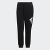 Quần Adidas Nữ Chính Hãng - SPORTSWEAR FUTURE ICONS PANTS - Đen | JapanSport H67035