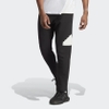 Quần Adidas Nam Chính Hãng - FUTURE ICONS BADGE OF SPORT JOGGERS - Đen | JapanSport IC3759