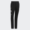 Quần Adidas Nam Chính Hãng - DAME D.O.L.L.A. TRACKSUIT - Đen | JapanSport HE6378