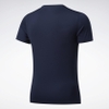 Áo Reebok Chính Hãng - CAMISETA WORKOUT READY GRAPHIC - Blue | JapanSport - FS8446