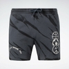 Quần Shorts Reebok Nam Chính Hãng - Classics Block Party Shorts - Xám | JapanSport HS9179