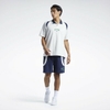 Quần Shorts Reebok Nam Chính Hãng - Classics Varsity Shorts - Navy | JapanSport HS9180