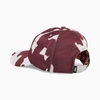 Mũ Puma Chính Hãng - CLYDE'S CLOSET DAD BASKETBALL CAP - Đỏ | JapanSport 024976-01