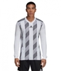 Áo Thể Thao Adidas Nam Chính Hãng - Adidas Striped 19 T-shirt Football - White/Grey | JapanSport - DP3210