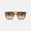 Kính Ray-Ban Chính hãng - Sunglasses in Havana Brown | RB2213 142351 55mm | JapanSport