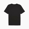 Áo Phông Puma Chính hãng - Mercedes-AMG Petronas Motorsport T-shirt - Màu Đen | JapanSport 623734-01
