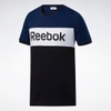 Áo Phông Reebok Nam Chính Hãng - Training Essentials Linear Logo Tee - Black/Blue | JapanSport - FK6124