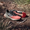 Giày Adidas Nam Chính Hãng -  trail running - Đỏ | JapanSport IF5011
