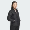 Áo Khoác Adidas Chính Hãng - WIND.RDY - Màu Đen | JapanSport IS4796