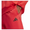 Quần Dài Adidas Chính Hãng - Future Icons Small Logo Pants - Màu đỏ | JapanSport JD4948