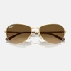 Kính Ray-Ban Chính hãng -  Polished Arista Gold - RB3733   001/M2 - Nam | JapanSport 56mm